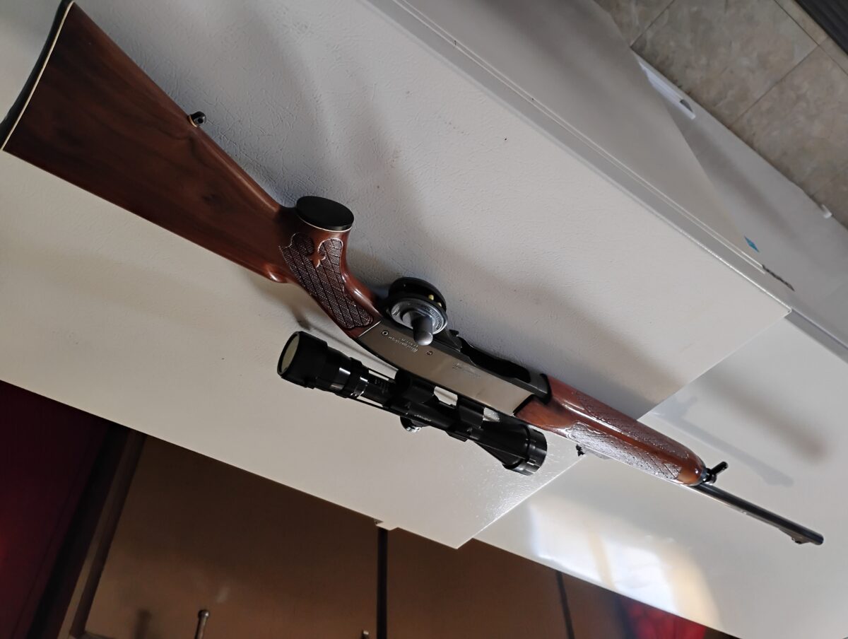 remington semi-auto woodmaster 742