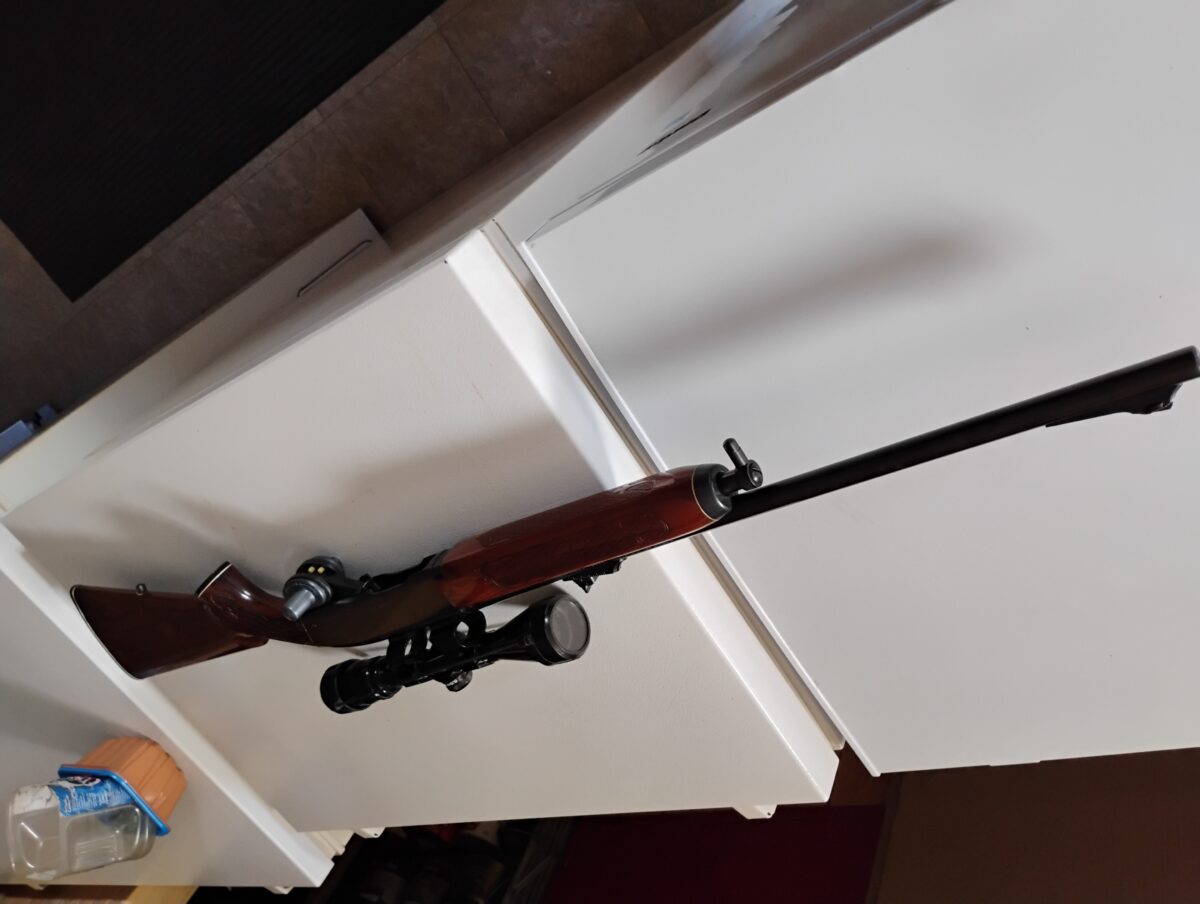 remington semi-auto woodmaster 742