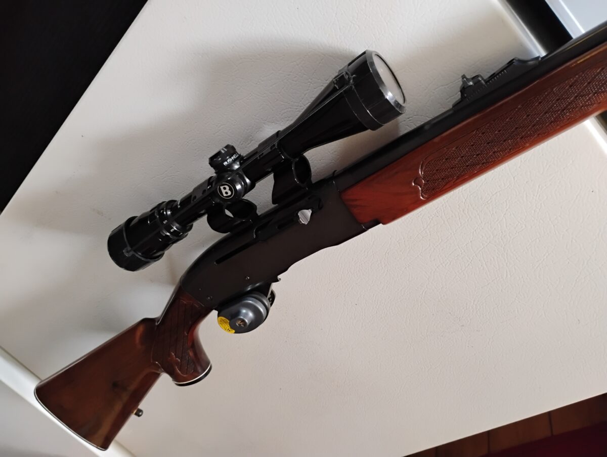 remington semi-auto woodmaster 742