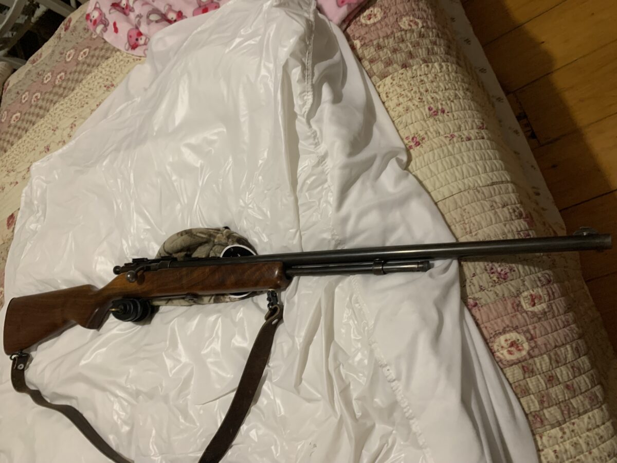 .22bolt action