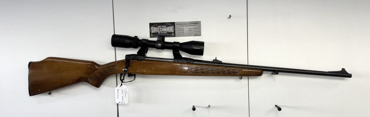 Carabine Stevens 110 E , 30-06 , scope Bushnelle Trophy