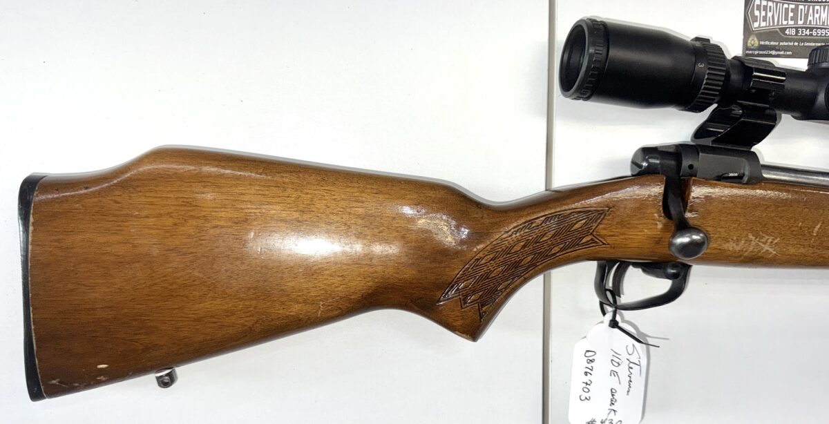 Carabine Stevens 110 E , 30-06 , scope Bushnelle Trophy