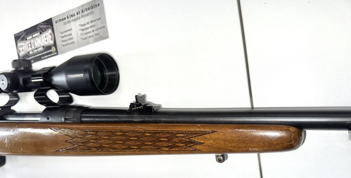Carabine Stevens 110 E , 30-06 , scope Bushnelle Trophy