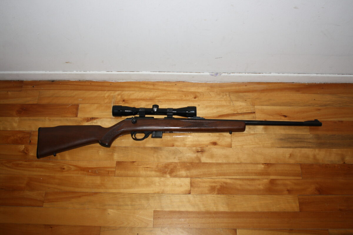 Squires Bingham model 1500 .22mag