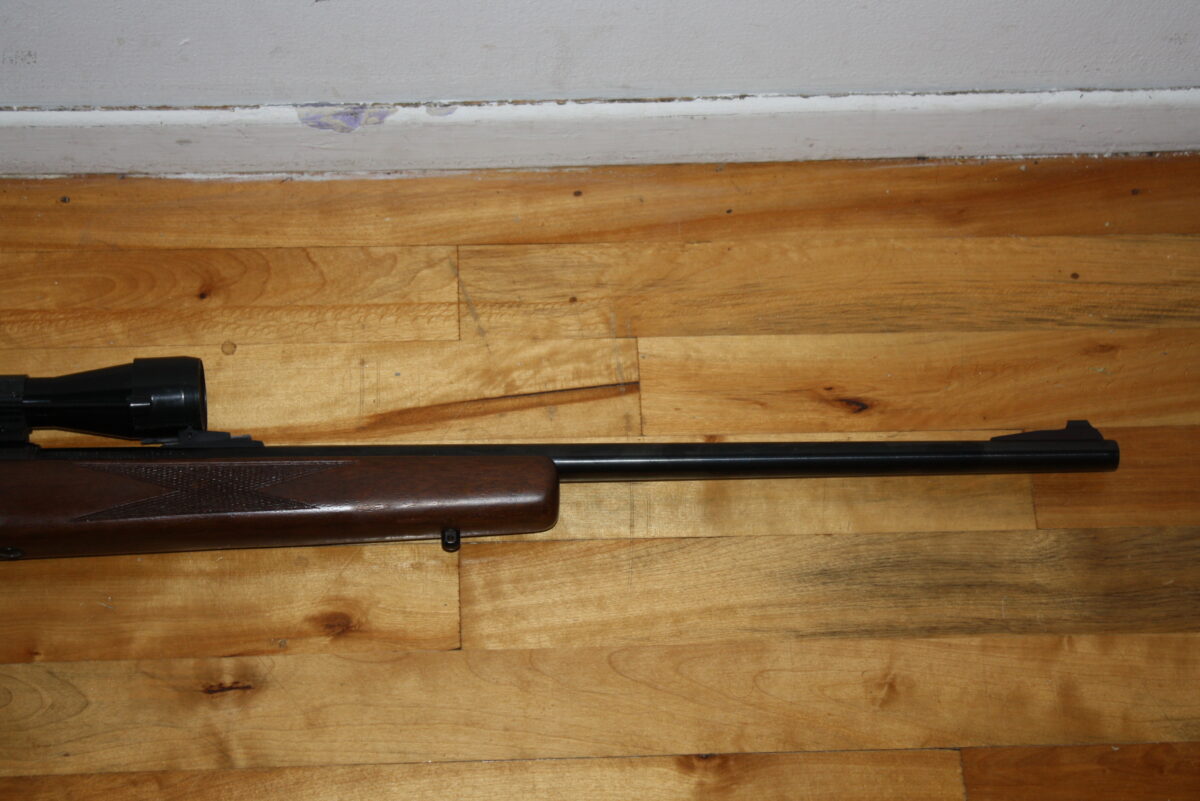 Squires Bingham model 1500 .22mag