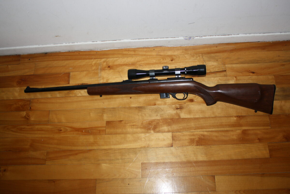 Squires Bingham model 1500 .22mag