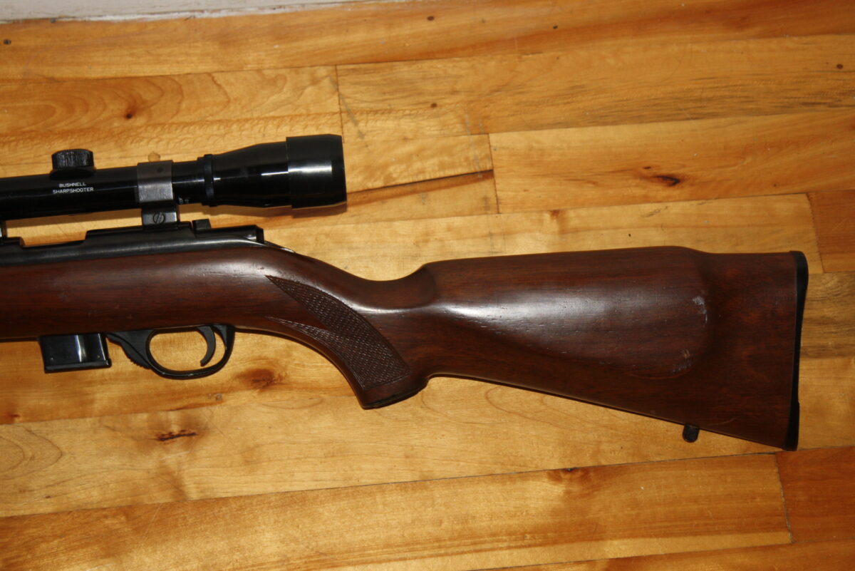 Squires Bingham model 1500 .22mag