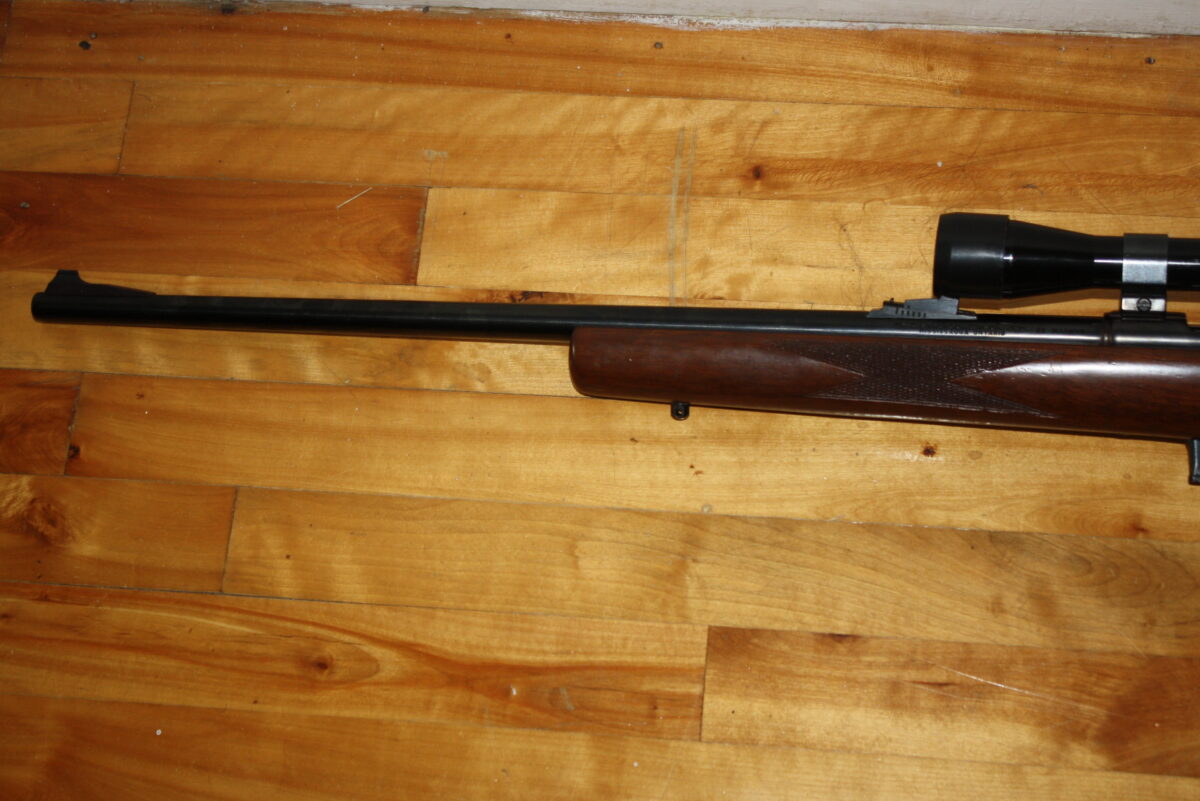 Squires Bingham model 1500 .22mag