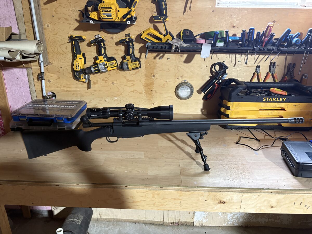 Howa model 1500 .223 avec 900 balles