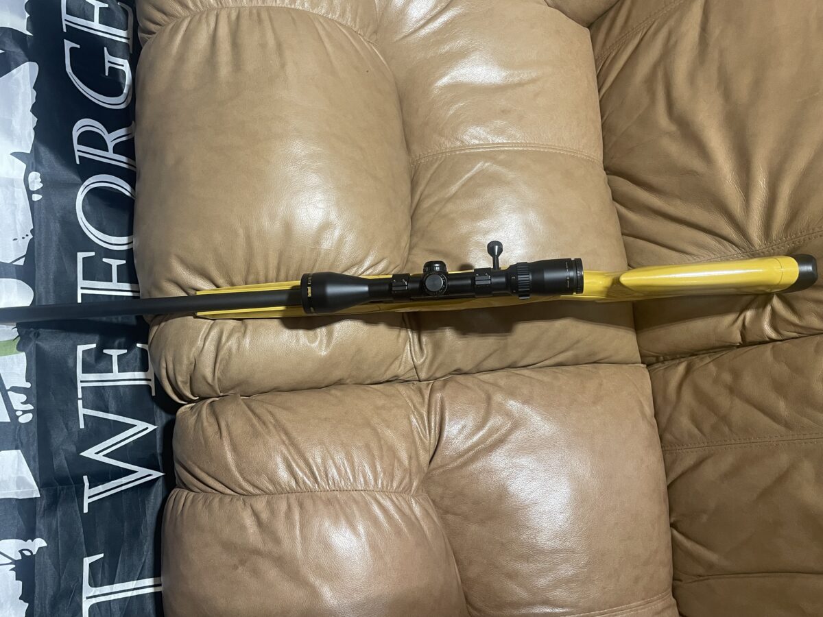 22 MAGNUM